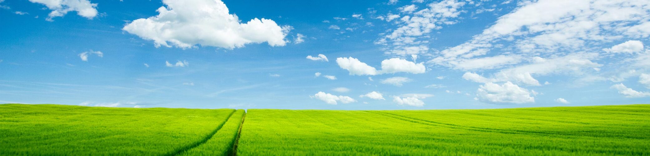 grüne Wiese mit Himmel und Wolken